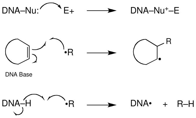 Scheme 5