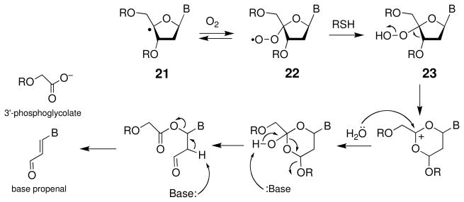 Scheme 13