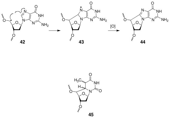 Scheme 19