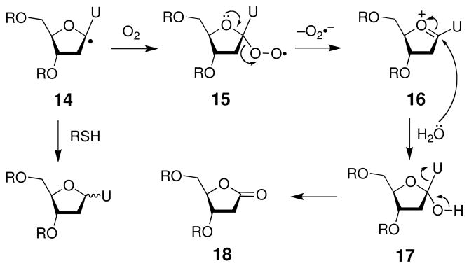 Scheme 11