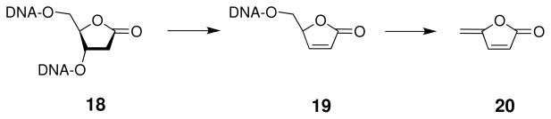 Scheme 12