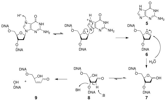 Scheme 3