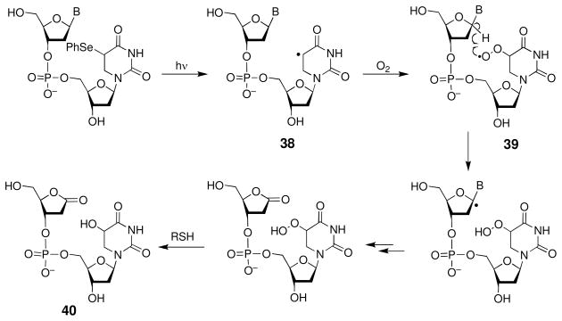 Scheme 17