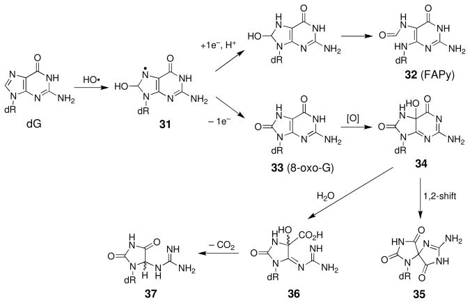 Scheme 16