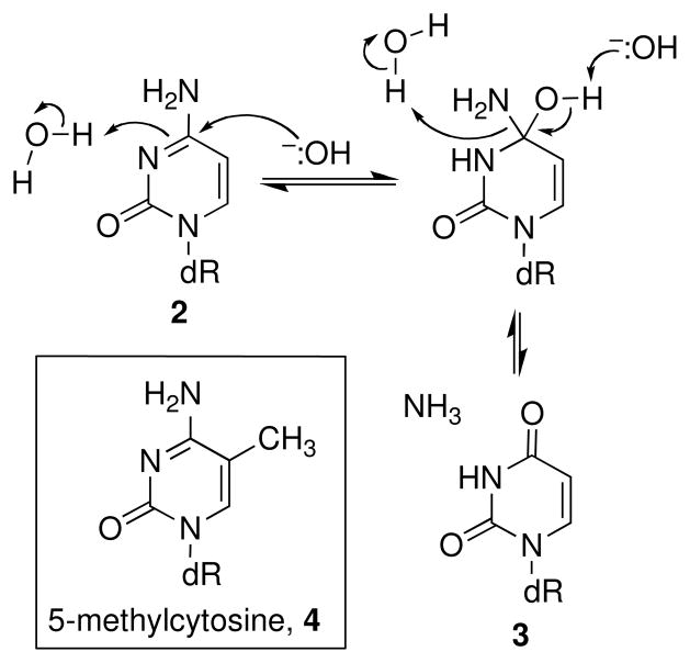 Scheme 2