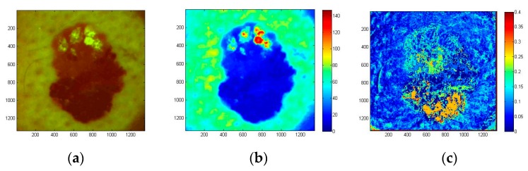 Figure 19