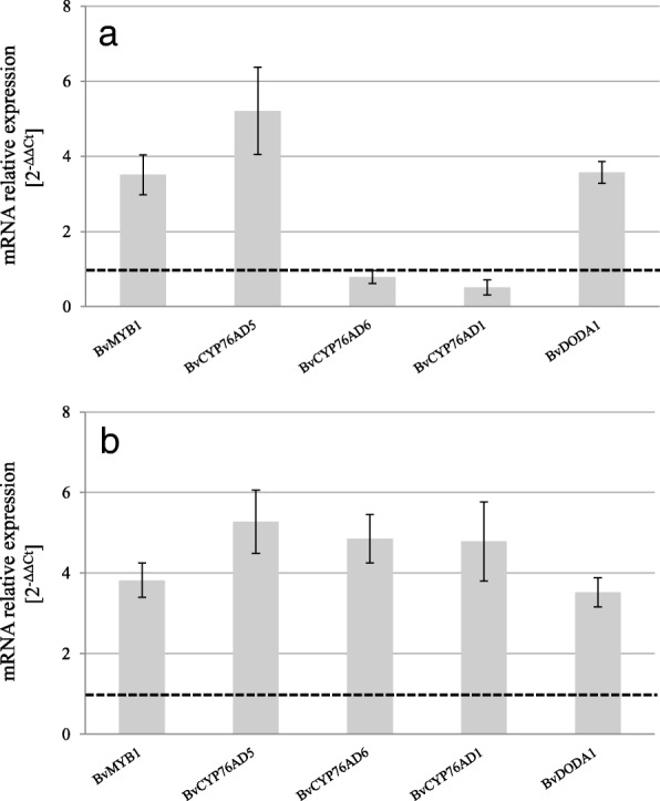 Fig. 4