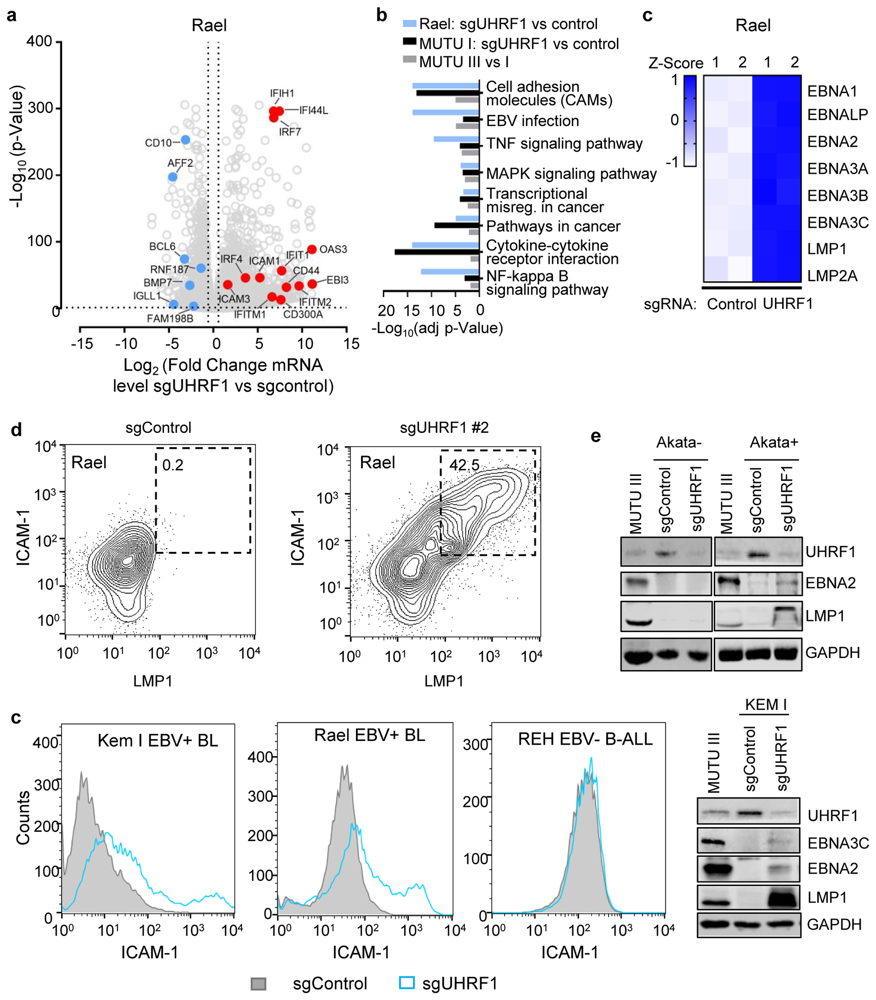 Extended Data Fig. 4