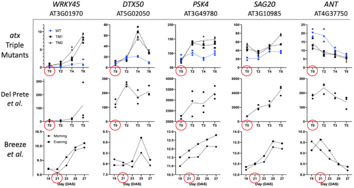 FIGURE 5