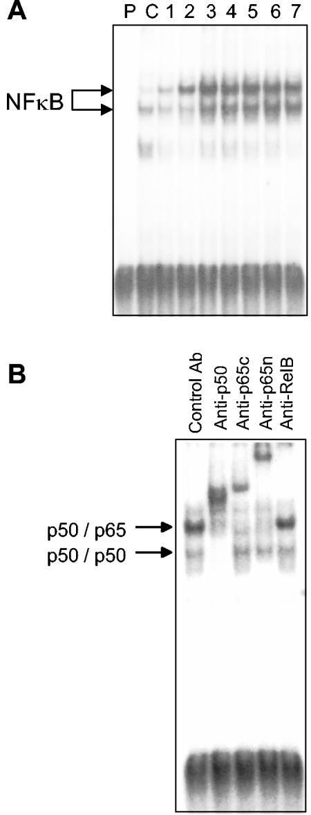 FIG. 6.