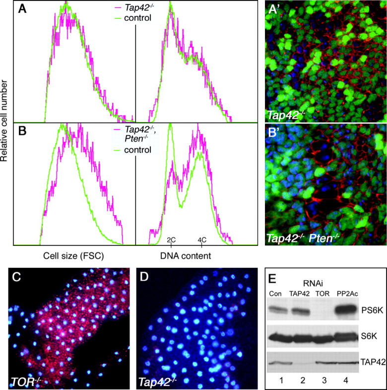 Figure 2.—