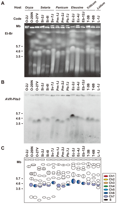 Figure 9