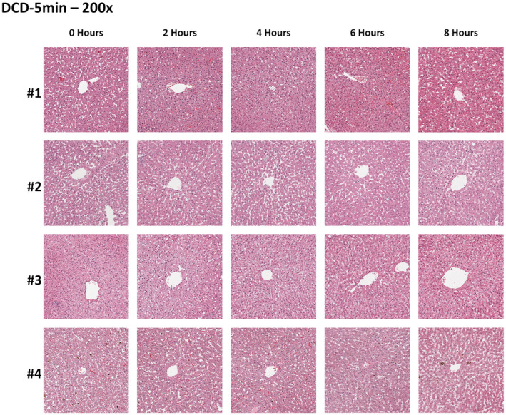 FIG. 10