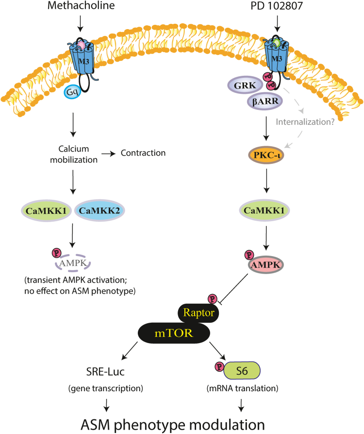 Figure 7