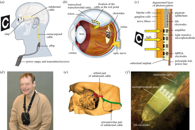 Figure 2.