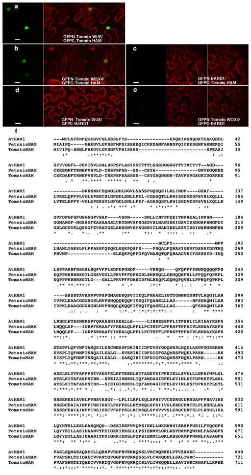 Extended Data Figure 10