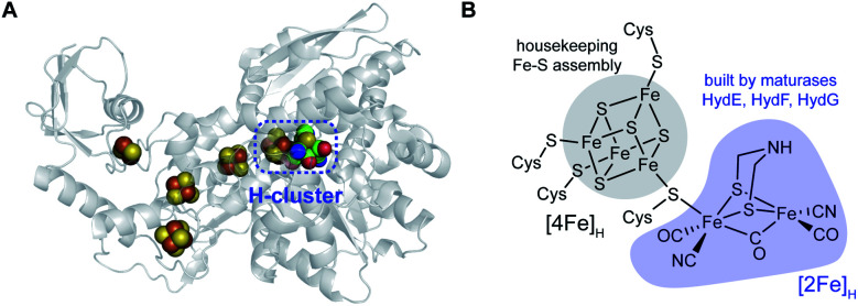 Fig. 1