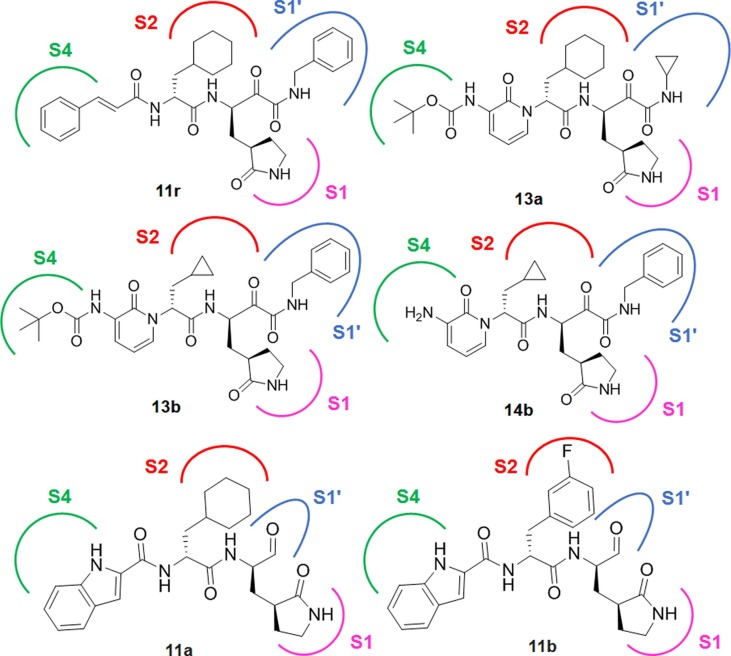 Fig. 6