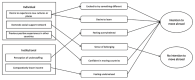 The final programme theory