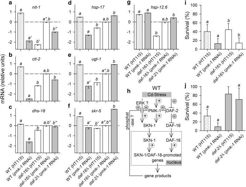 Fig. 7