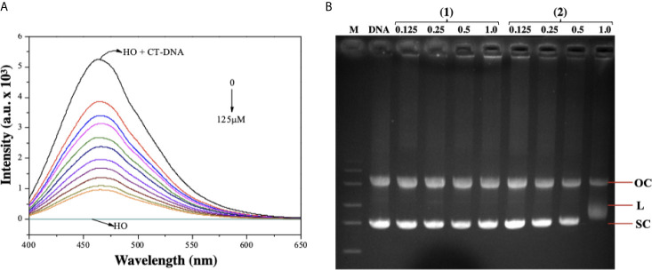 Figure 7