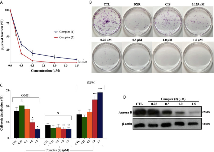 Figure 3