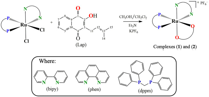 Figure 1