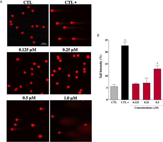 Figure 6