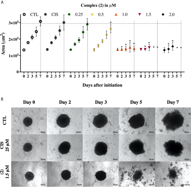 Figure 2