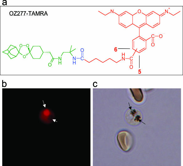 FIG. 4.