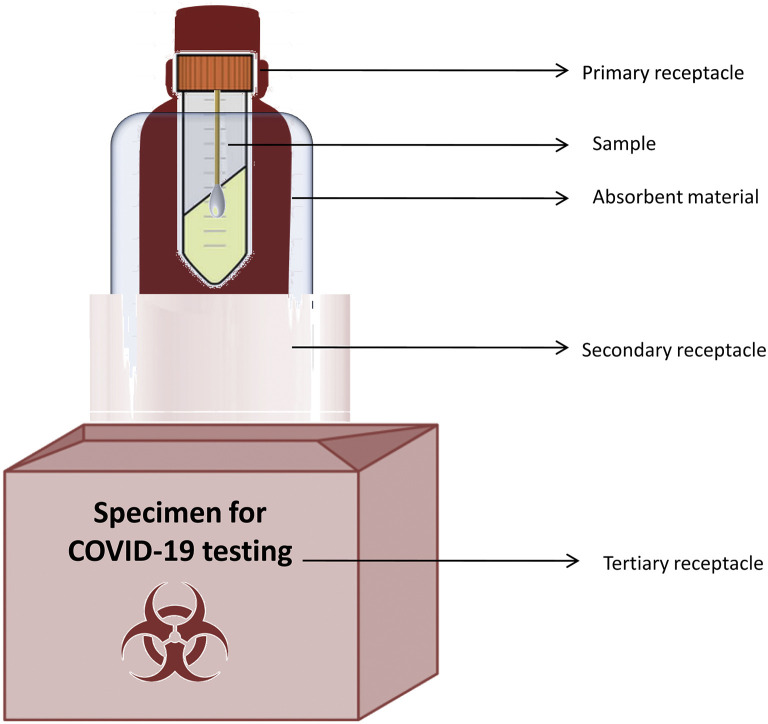 Figure 1