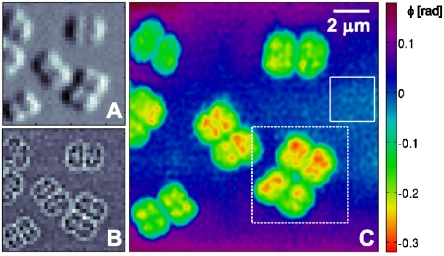 Fig. 2.