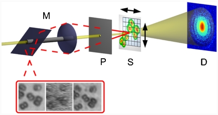 Fig. 1.