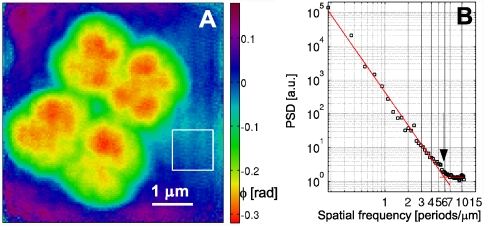 Fig. 3.