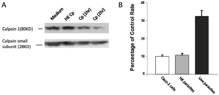 Fig.1