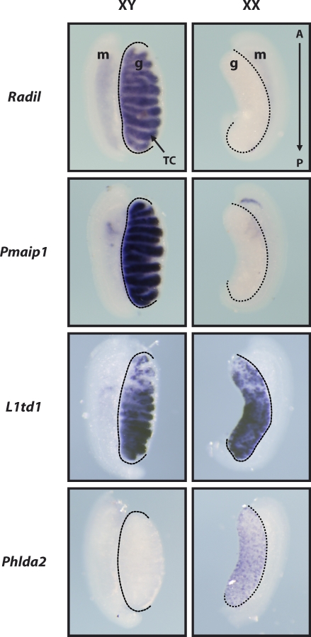 FIG. 5.