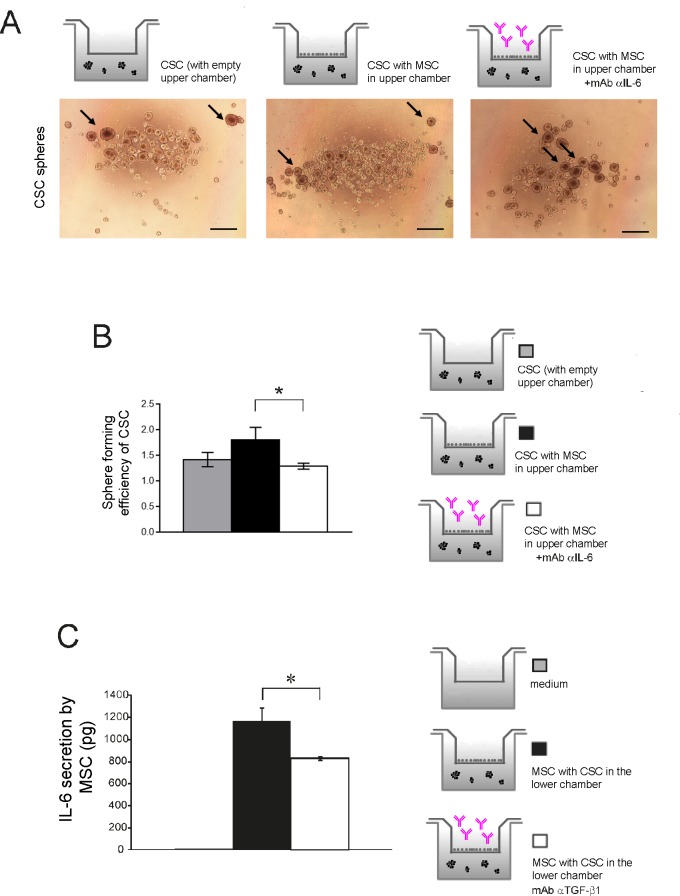 Fig 7