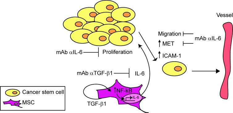 Fig 10