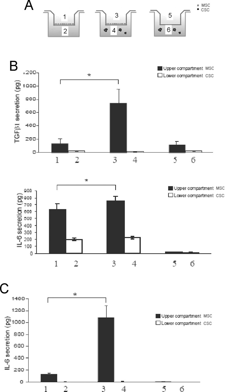 Fig 5