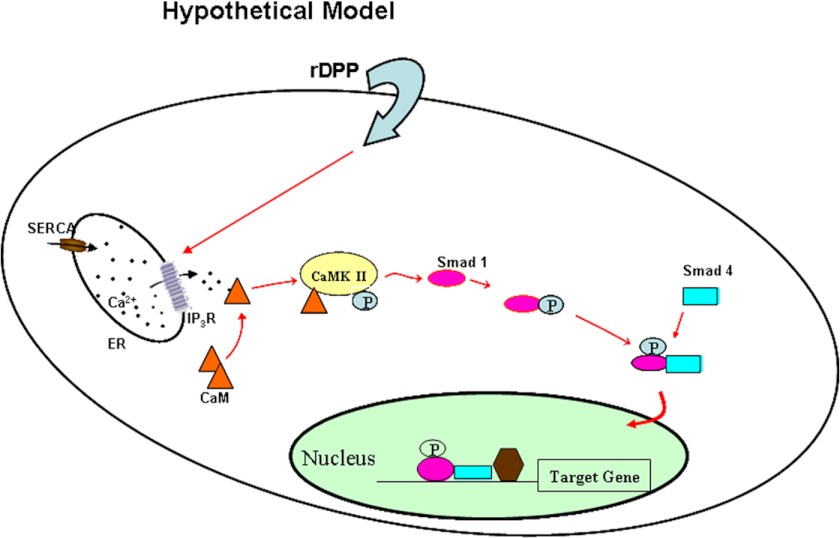 FIGURE 9.