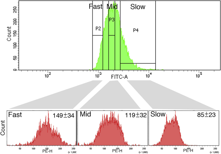 Figure 5