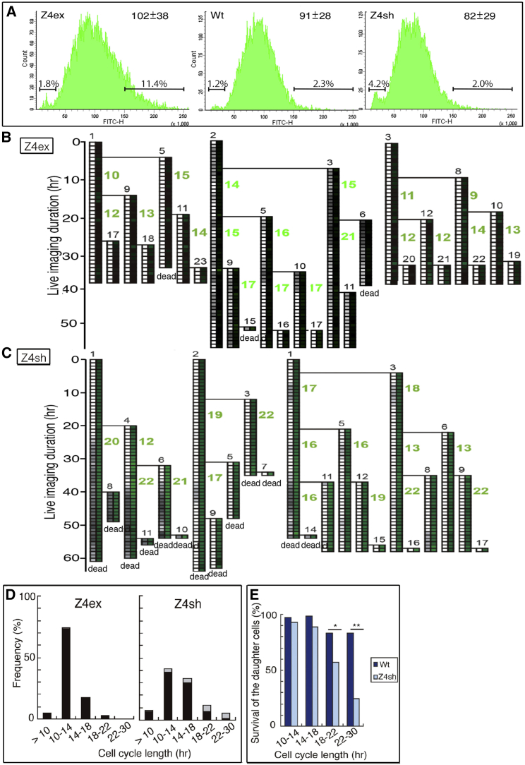 Figure 6