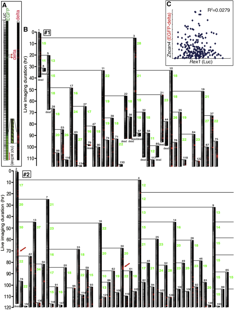 Figure 3