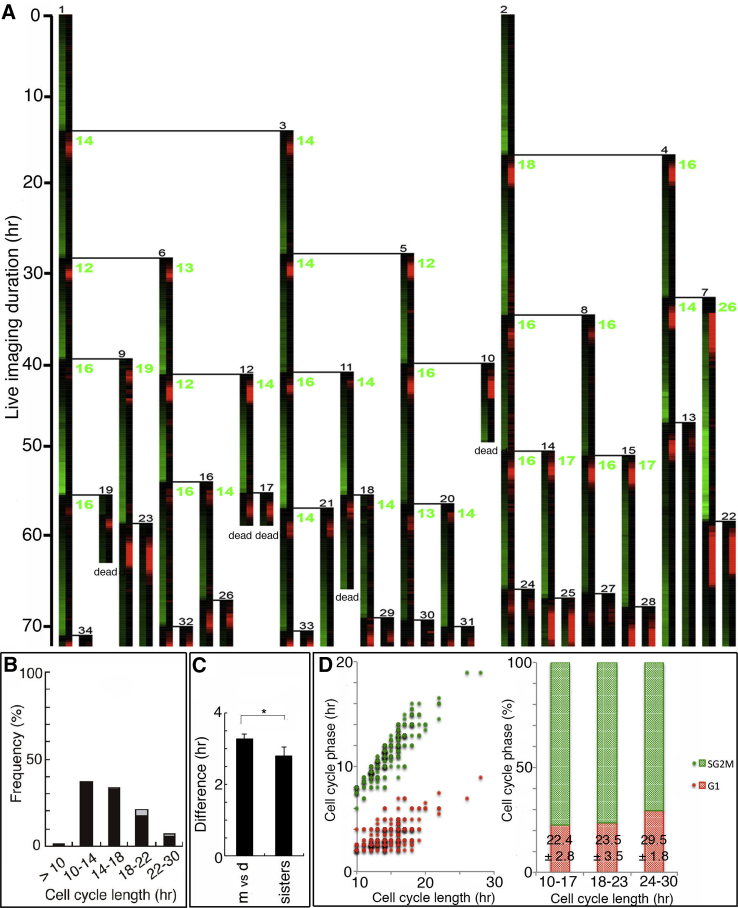 Figure 1