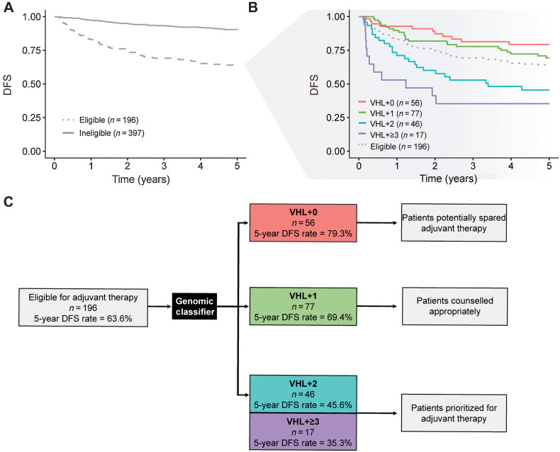 Figure 4. Patients eligible for adjuvant therapy stratified by the genomic classifier. A, DFS amongst patients considered eligible (pT2 grade 3–4; pT3 or pT4 (any grade); any pT, any grade, N+) versus ineligible (pT1 (any grade); pT2 grade 1–2) for adjuvant therapy; (B) DFS by VHL+0, VHL+1, VHL+2 and VHL+≥3 groups amongst patients considered eligible for adjuvant therapy; (C) Flow diagram demonstrating potential clinical application. Application of the genomic classifier to patients typically considered eligible for adjuvant therapy allows sub-stratification of patients into groups with highly divergent risk of relapse. This information could usefully inform individual patient discussions around the benefit versus risks of adjuvant therapy.