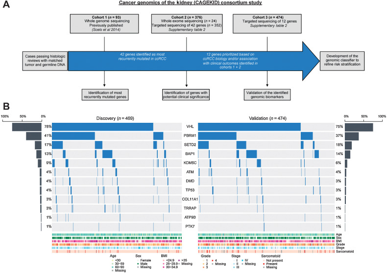 Figure 1. Study summary and mutational profiling of the Discovery and Validation cohorts.