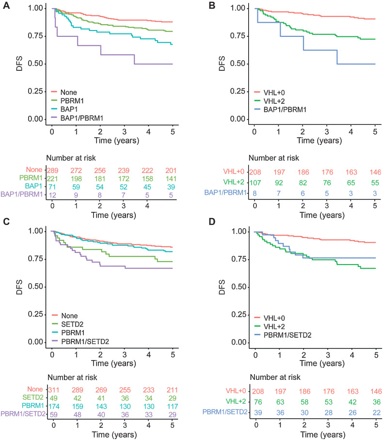 Figure 3. DFS outcomes by BAP1/PBRM1 and PBRM1/SETD2 mutation status. Kaplan–Meier survival curves based on (A) BAP1 and PBRM1 mutation status and (B) VHL+0 tumors, VHL+2 tumors containing both a BAP1 and PBRM1 mutation, and remaining VHL+2 tumors (i.e., those not containing both a BAP1 and PBRM1 mutation). Kaplan–Meier survival curves based on (C) PBRM1 and SETD2 mutation status and (D) VHL+0 tumors, VHL+2 tumors containing both a PBRM1 and SETD2 mutation, and remaining VHL+2 tumors (i.e., those not containing both a PBRM1 and SETD2 mutation).