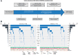 Figure 1. Study summary and mutational profiling of the Discovery and Validation cohorts.
