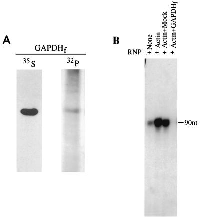 FIG. 10