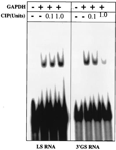 FIG. 7